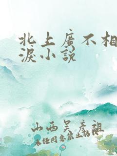 北上广不相信眼泪小说