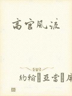 高官风流