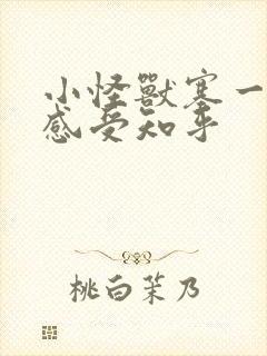 小怪兽塞一天的感受知乎