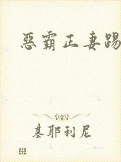 恶霸正妻踢娇妾