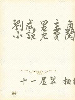 刘成男主角刘雪小说免费阅读