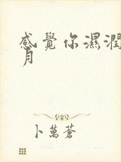 感觉你湿润我四月