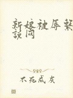 新娘被辱系列小说网