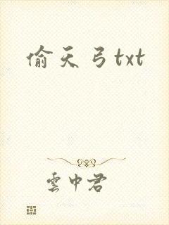 偷天弓txt