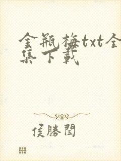 金瓶梅txt全集下载