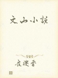 文山小说