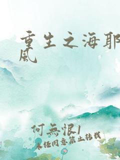 重生之海耶斯旋风