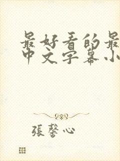 最好看的最新的中文字幕小说