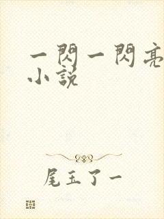 一闪一闪亮星星小说