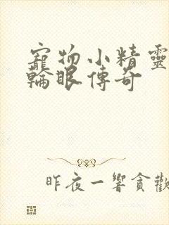 宠物小精灵之写轮眼传奇