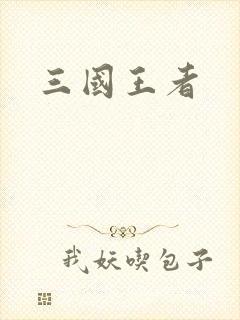 三国王者