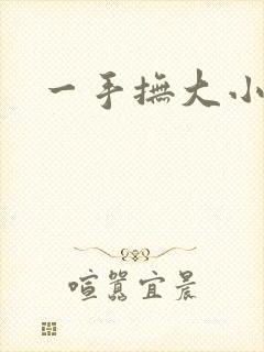 一手抚大小说