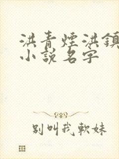 洪青烟洪镇国的小说名字