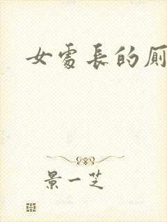 女处长的厕奴