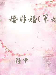 婚非婚(军婚)