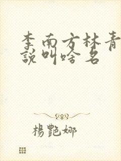 李南方林青青小说叫啥名