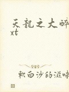天龙之大醉侠txt