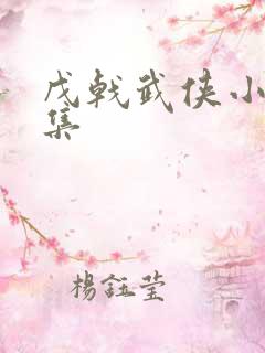 戊戟武侠小说全集