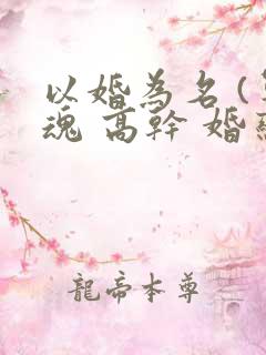 以婚为名 (军魂 高干 婚恋)