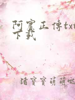 阿宾正传txt下载