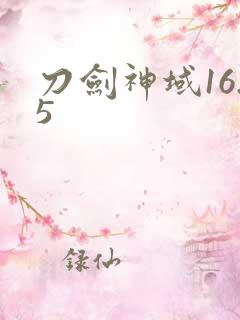 刀剑神域16.5
