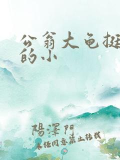 公翁大龟挺进我的小