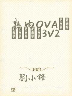熟肉OVAちゃんはしたい3V2