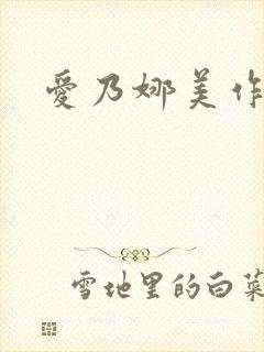 爱乃娜美作品集