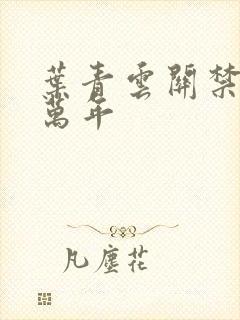 叶青云关禁闭一万年