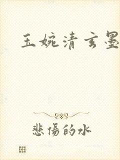 玉婉清玄墨小说