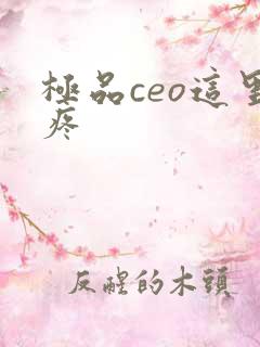 极品ceo这里疼