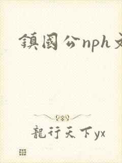 镇国公nph文