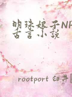 明珠娘子NPC古言小说