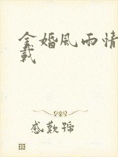 金婚风雨情 下载