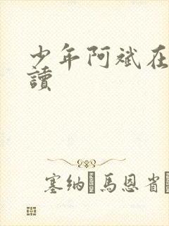 少年阿斌在线阅读
