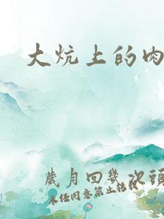 大炕上的肉伦二