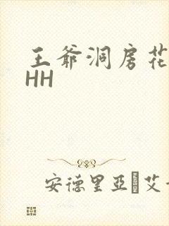 王爷洞房花烛夜HH