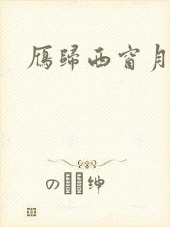 雁归西窗月小说