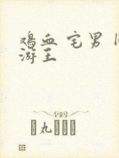 鸡血 宅男 网游王