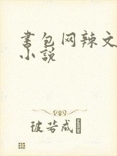 书包网辣文全本小说