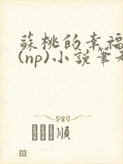 苏桃的幸福生活(np)小说笔趣阁沐沐