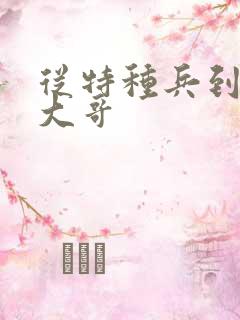 从特种兵到黑道大哥