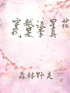 穿越流星花园之我是李真