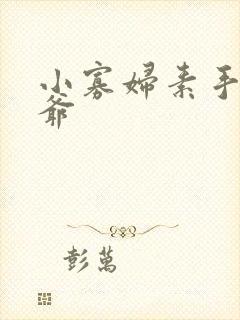 小寡妇素手擒四爷