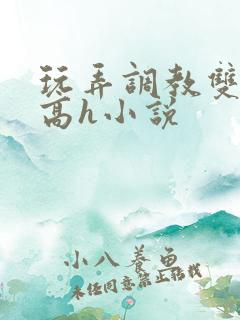 玩弄调教双胞胎高h小说