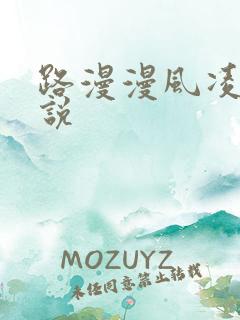 路漫漫风凌轩小说
