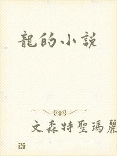 龙的小说