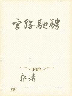 官路驰骋