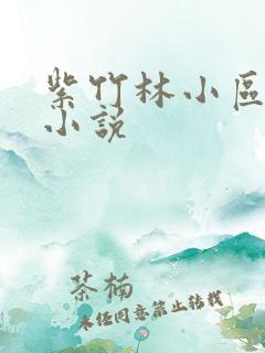 紫竹林小区快递小说