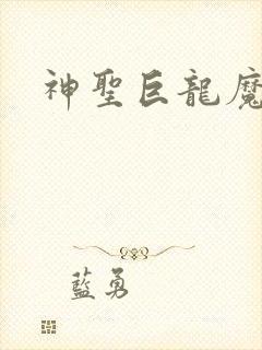 神圣巨龙魔法师